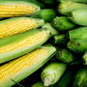 Green Corn