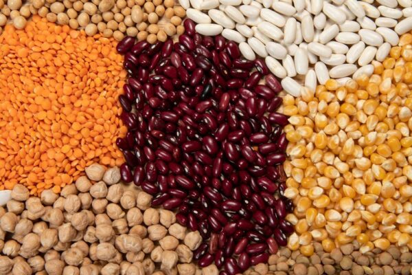 Dry Corn